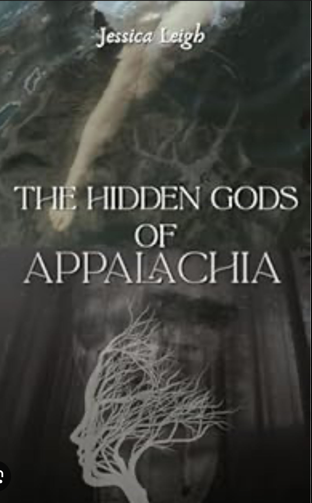 The Hidden Gods of Appalachia By: Jessica Leigh SIGNED PREORDER