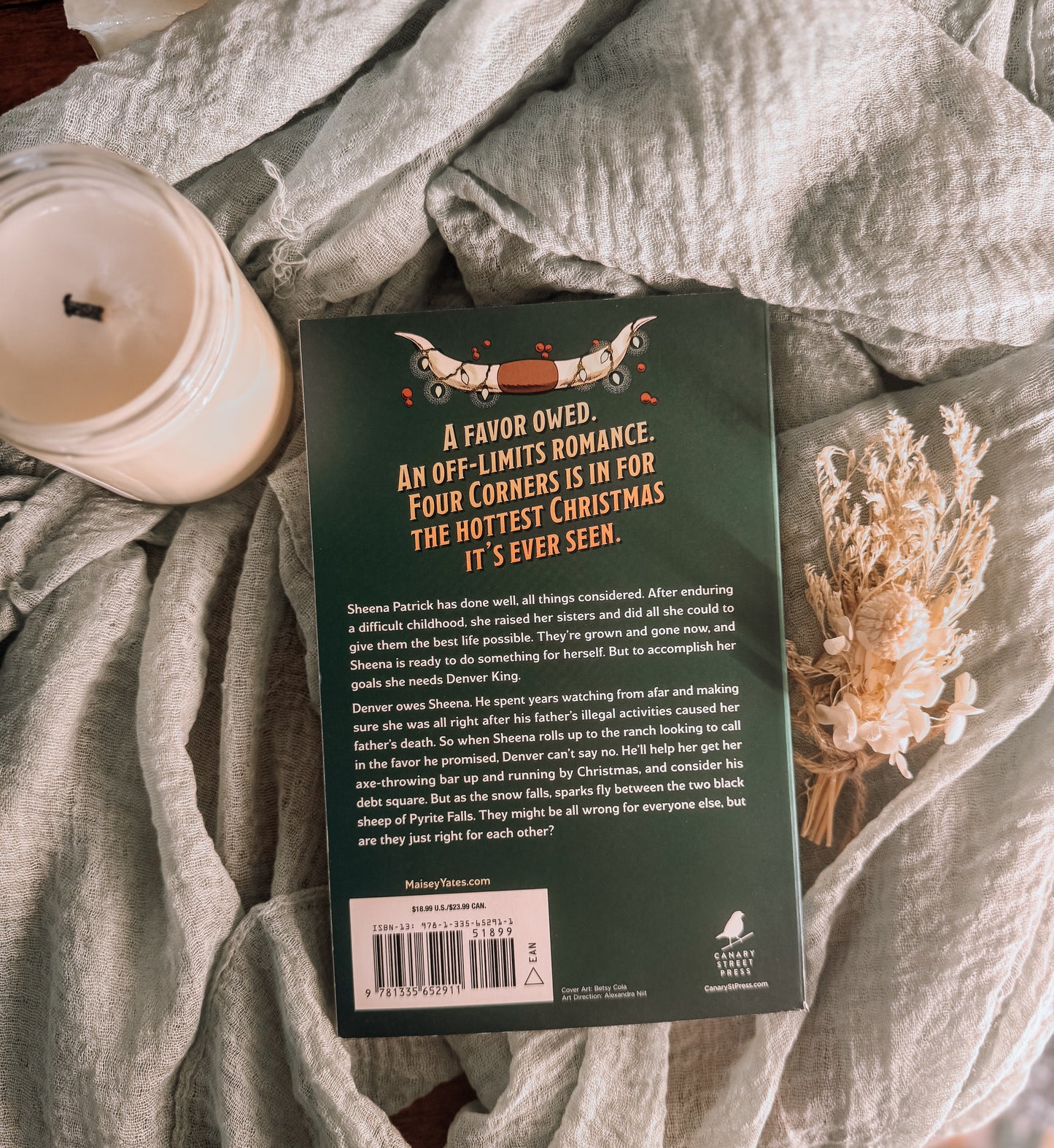 Cowboy, It's Cold Outside By: Maisey Yates