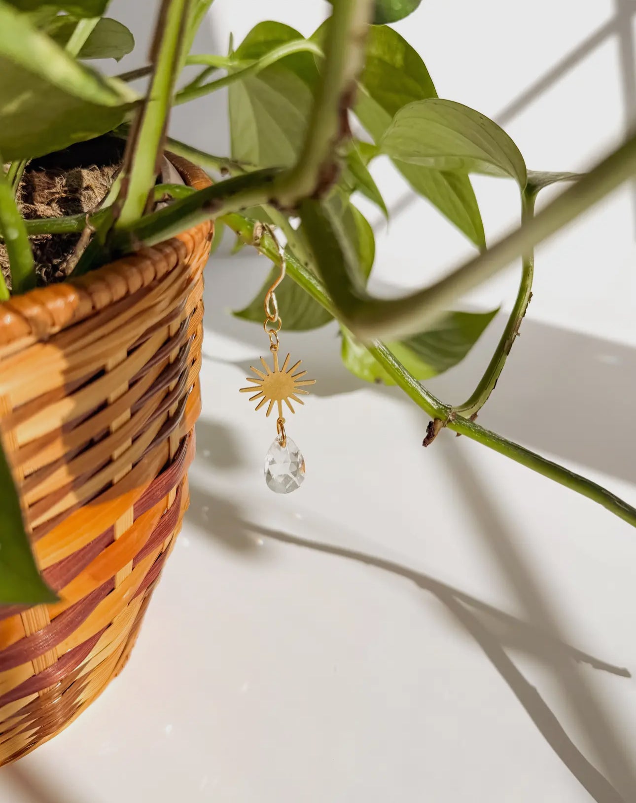 Sunbeam Plant Charm