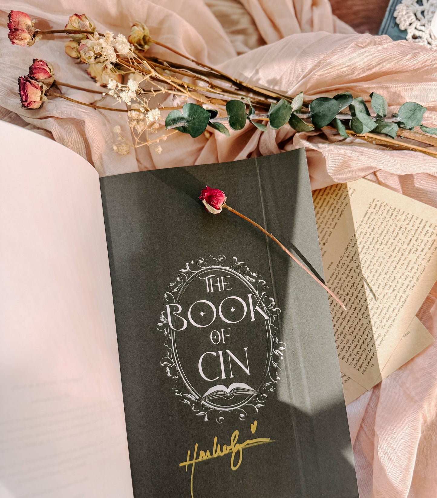 The Book of Cin By: H.M. Wolfe SIGNED