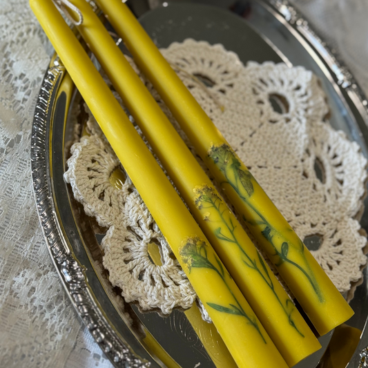Pressed Wildflower Tapers – Goldenrod (Set of 3)