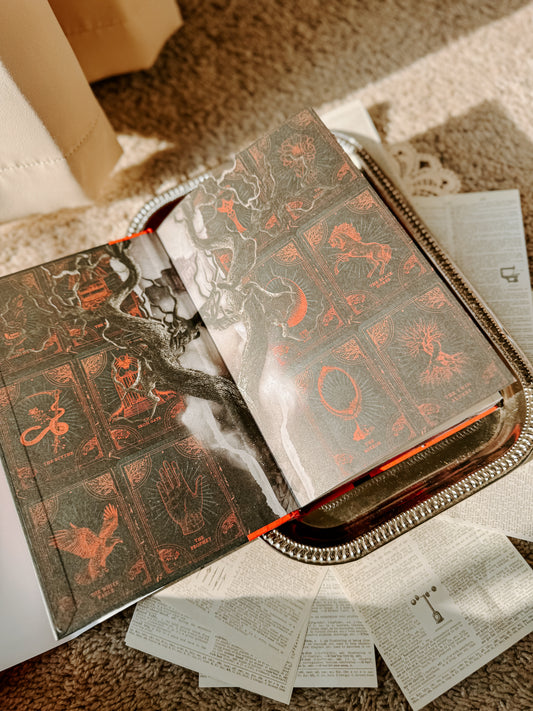 Two Twisted Crowns (Deluxe Limited Hardcover Edition)
by Rachel Gillig