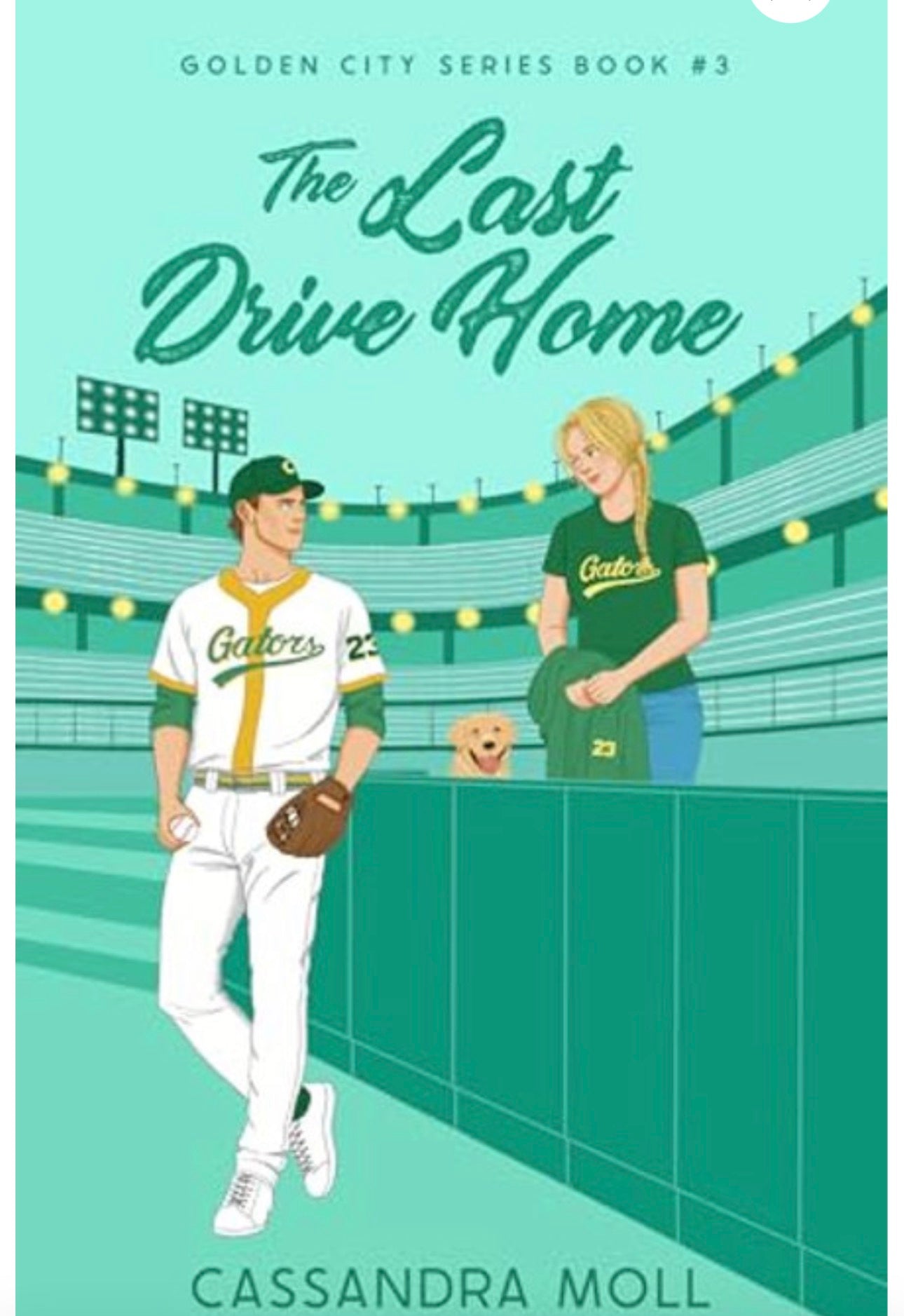 Book cover of 'The Last Drive Home' featuring a baseball player and a woman in a stadium setting.