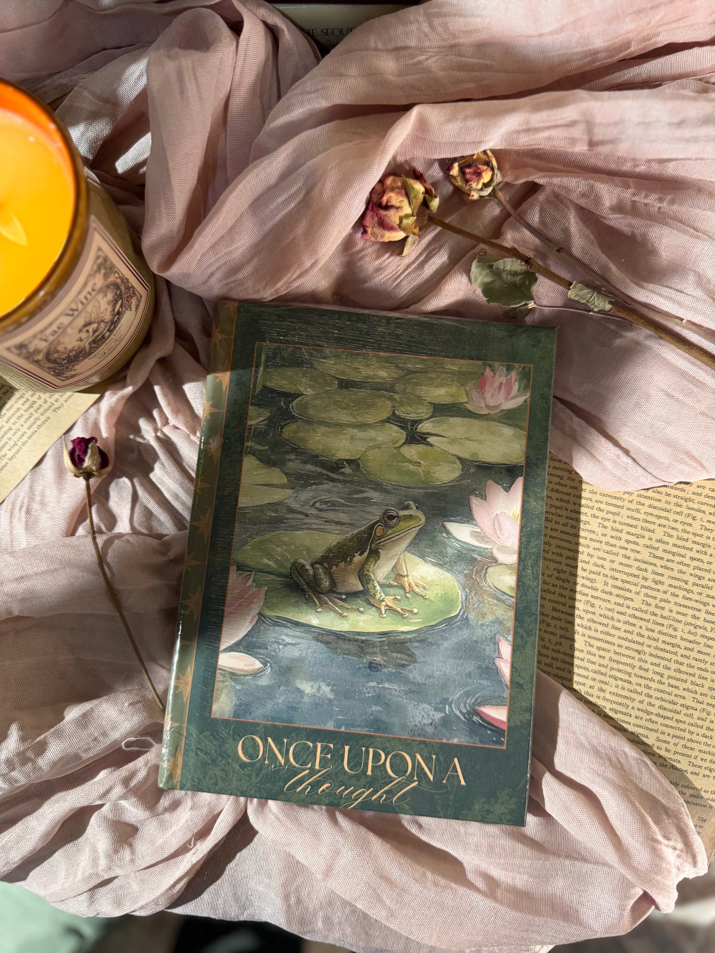 Once Upon a Thought Frog Pond Journal