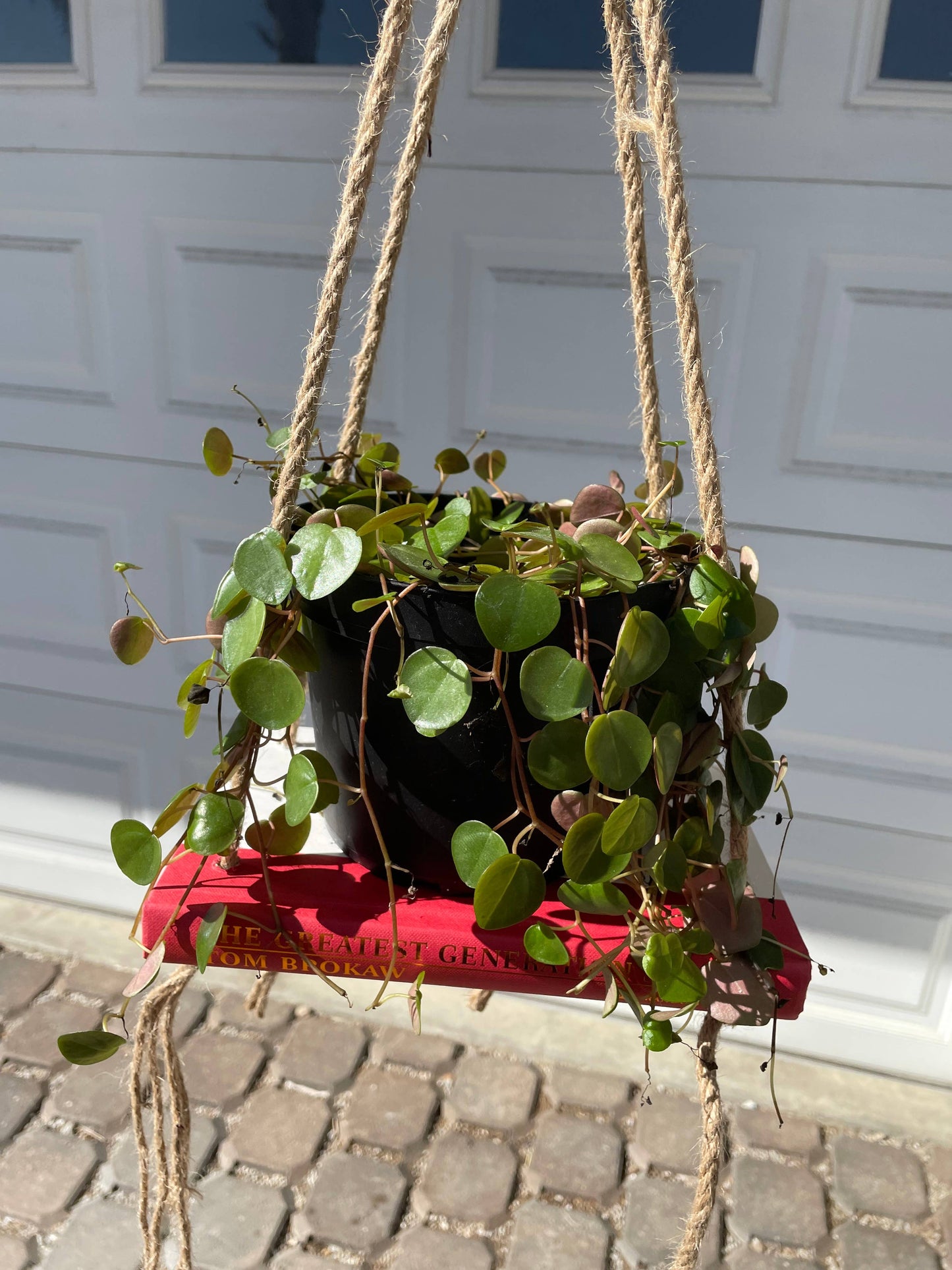 Bookish Bloom Hanging Book Shelf