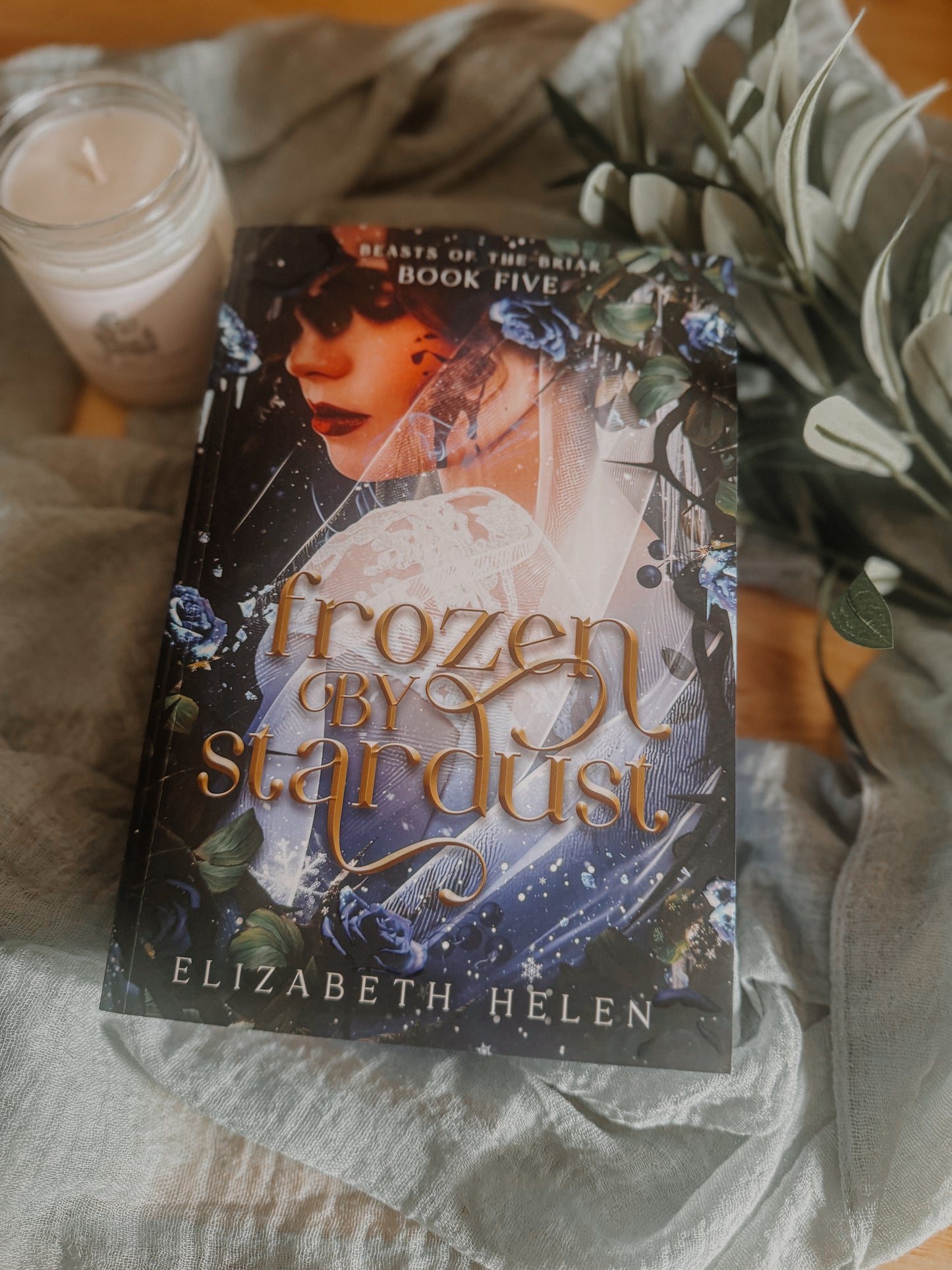 Frozen by Stardust By: Elizabeth Helen