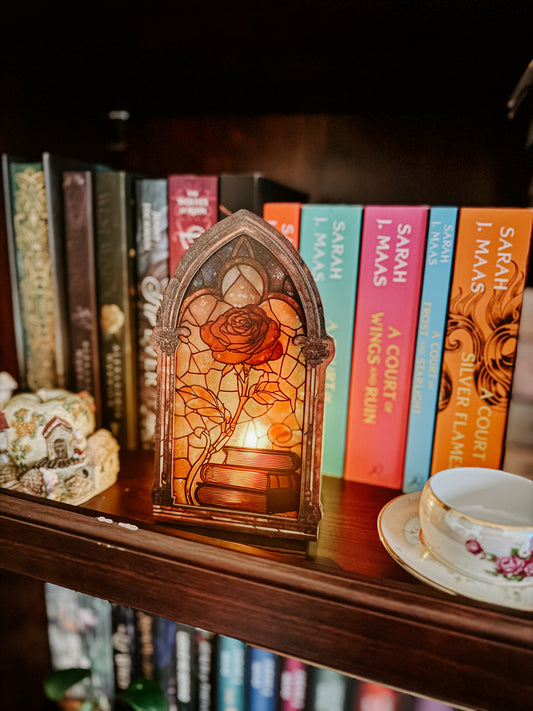 Enchanted Book Nook Light