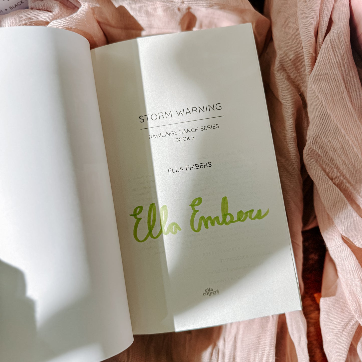 Storm Warning By Ella Embers Signed