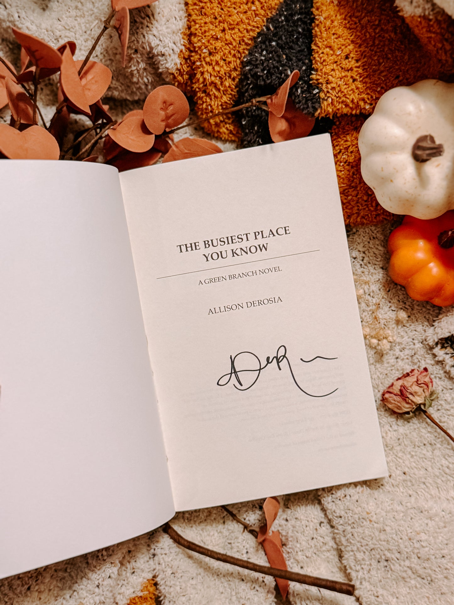 The Busiest Place You Know
by Allison Derosia SIGNED