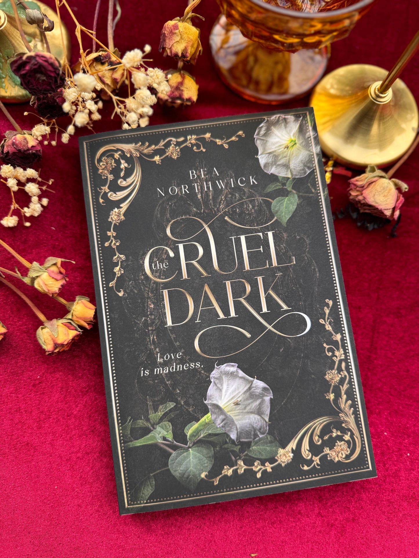 The Cruel Dark SIGNED by: Bea Northwick