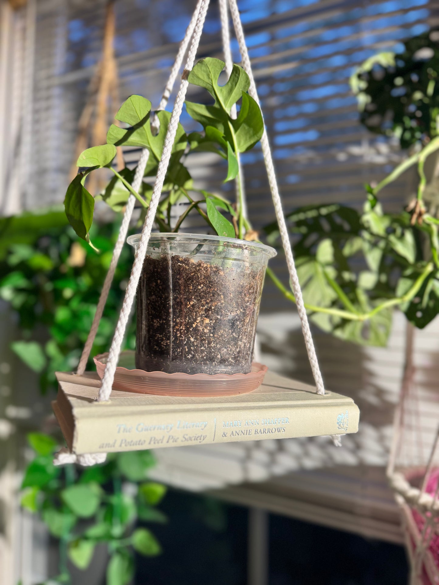 Bookish Bloom Hanging Book Shelf