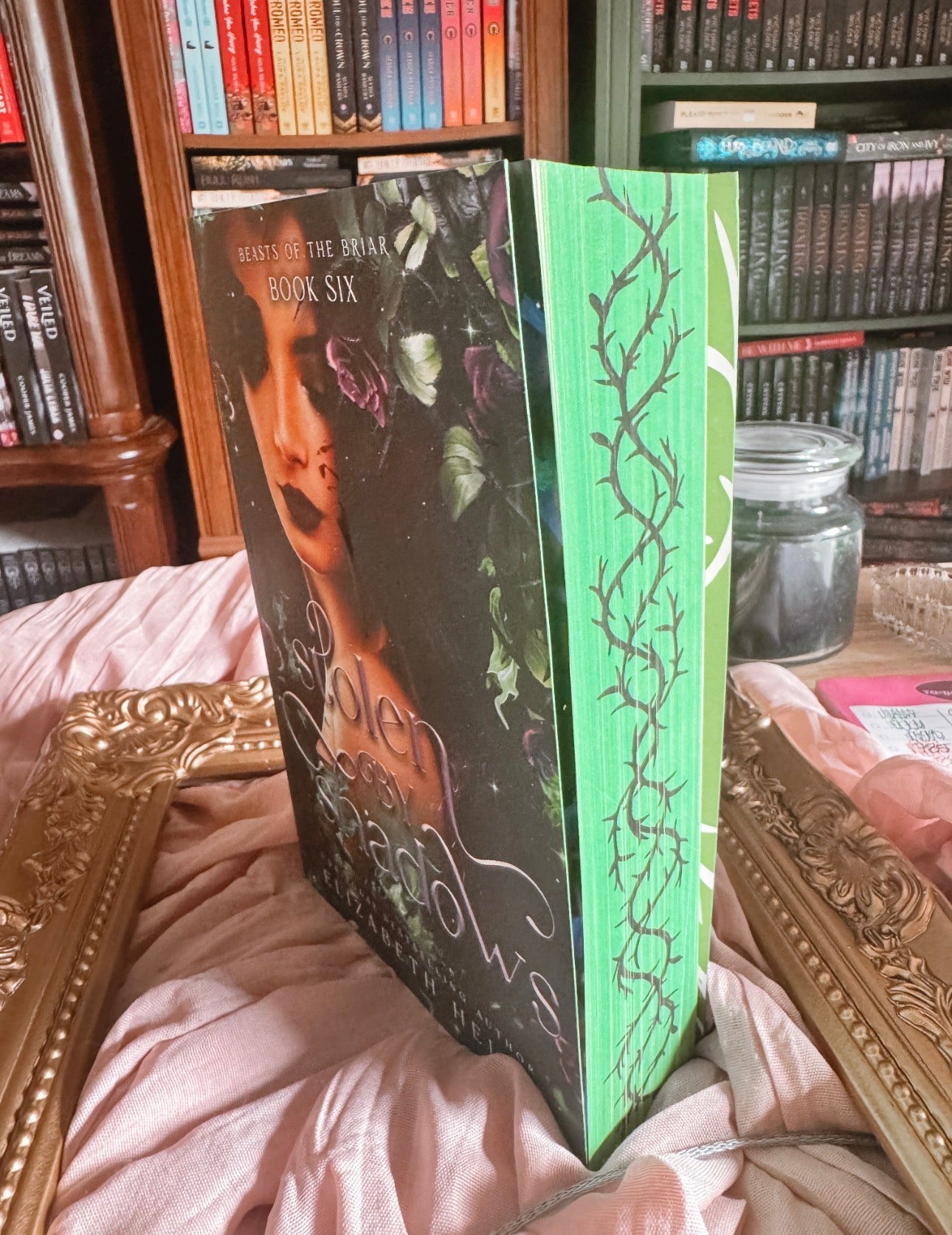 Stolen By Shadows By: Elizabeth Helen
