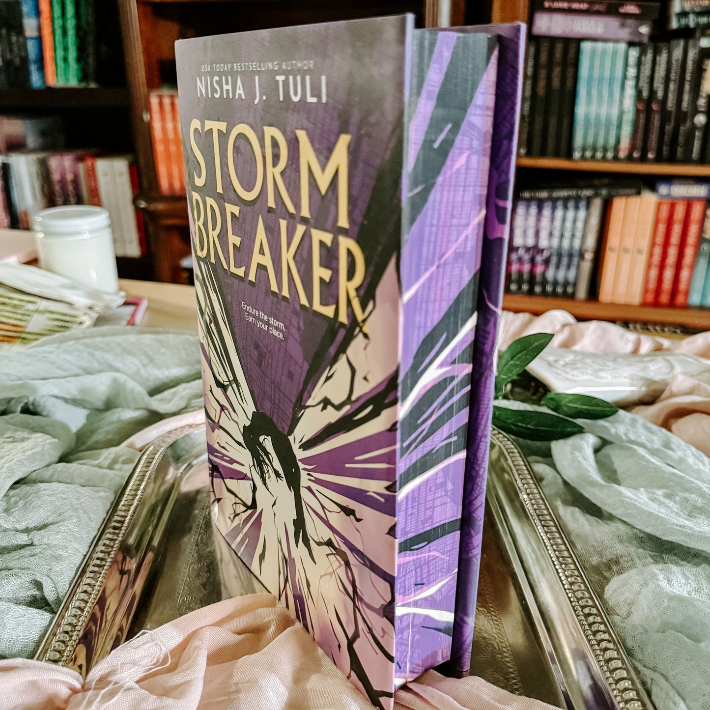 Storm Breaker By: Nisha J. Tuli