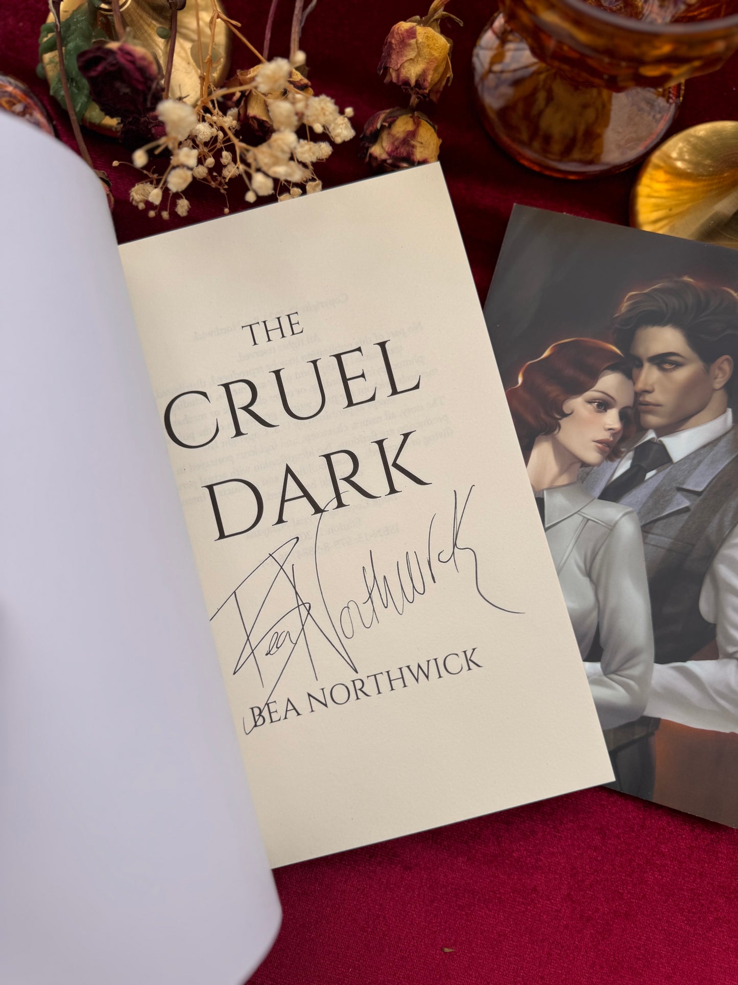 The Cruel Dark SIGNED by: Bea Northwick