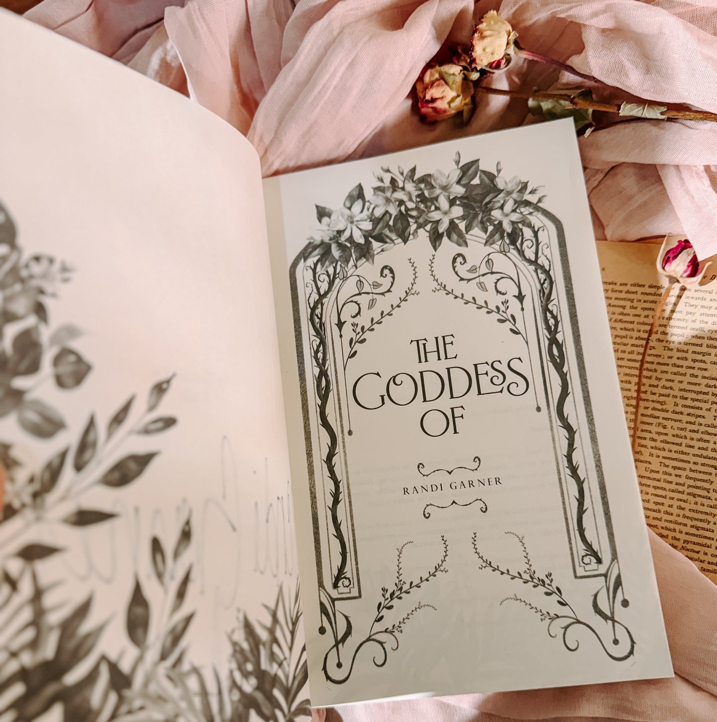 The Goddess Of By: Randi Garner SIGNED