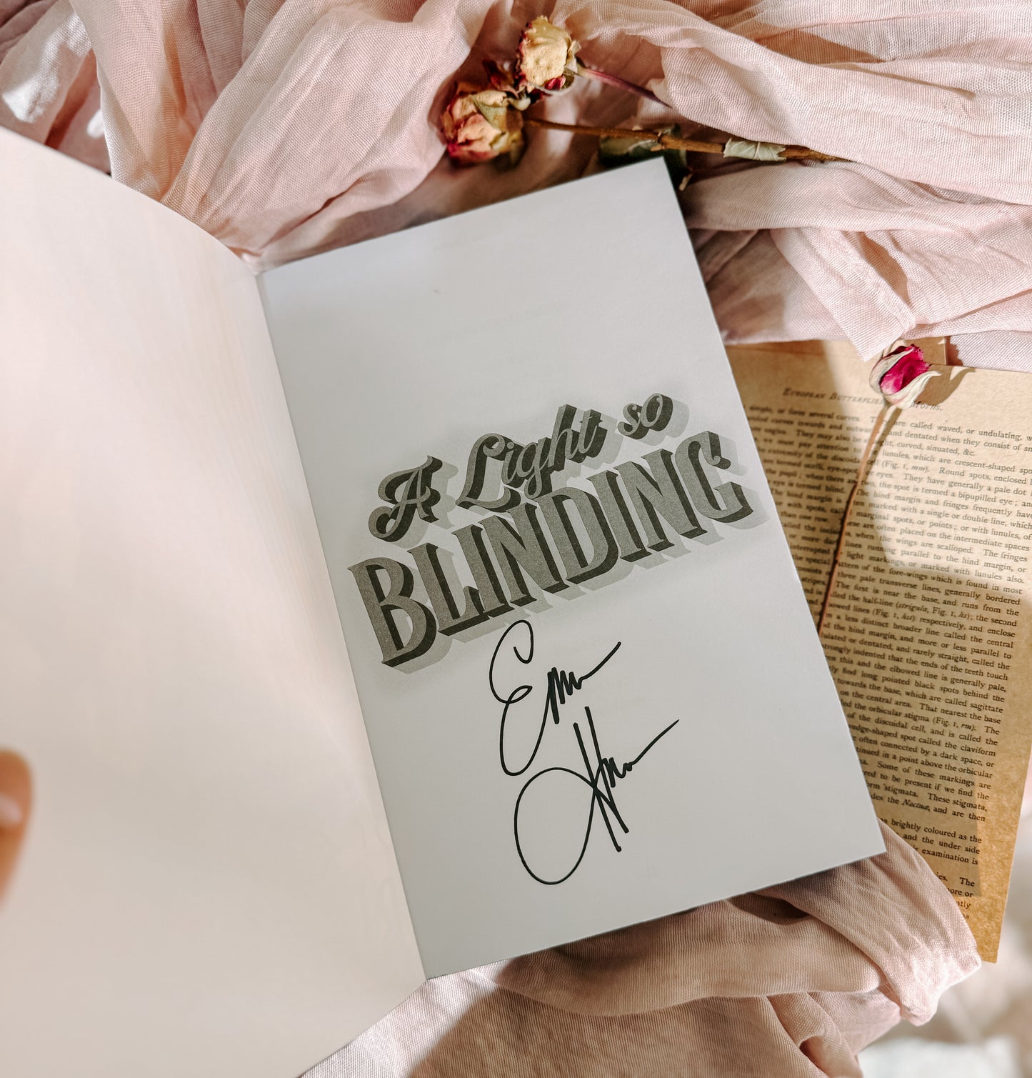 A Light So Blinding By: Emma Hamm SIGNED