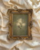 The First Bloom - Fine Art Print PREORDER