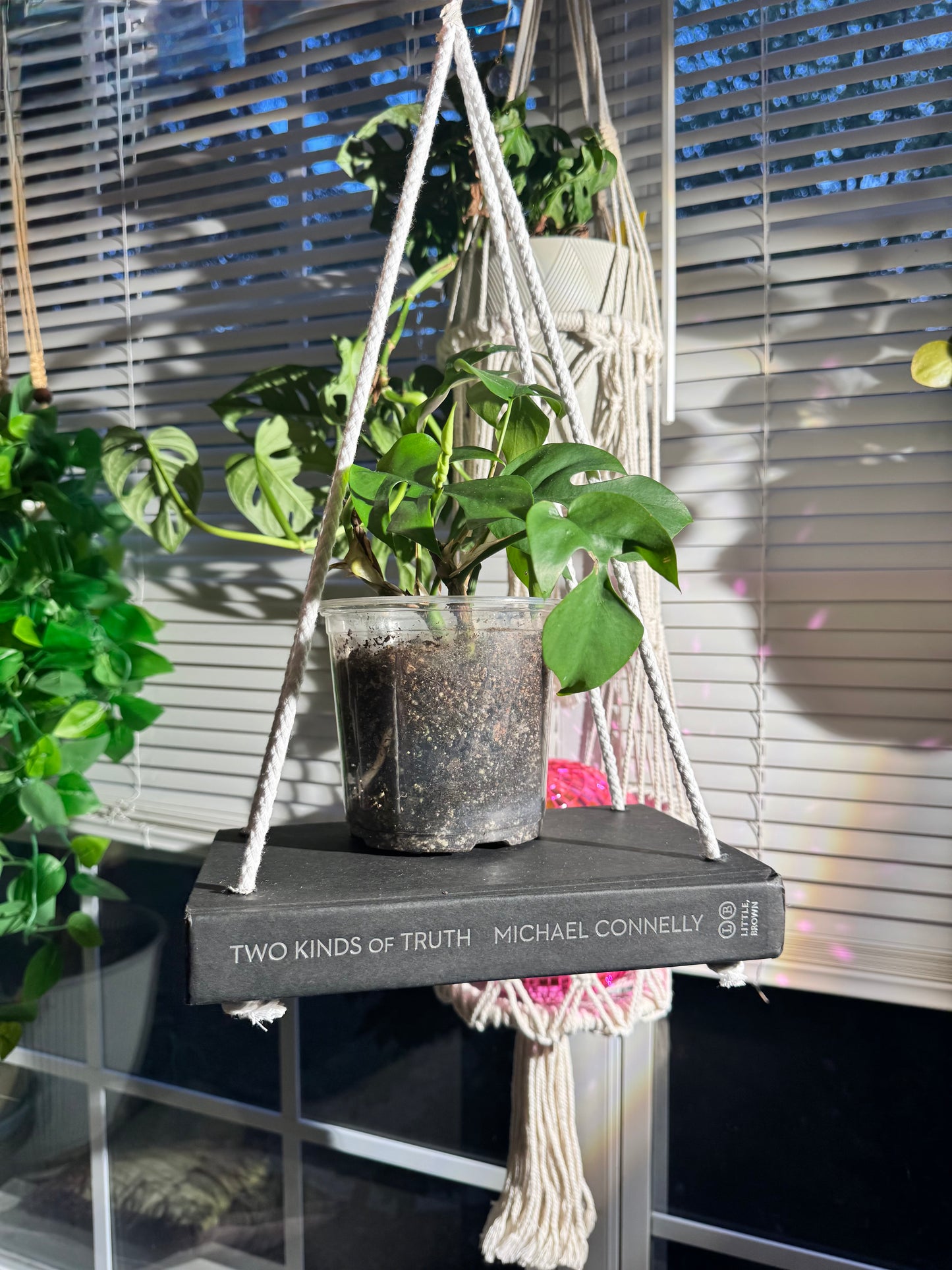Bookish Bloom Hanging Book Shelf