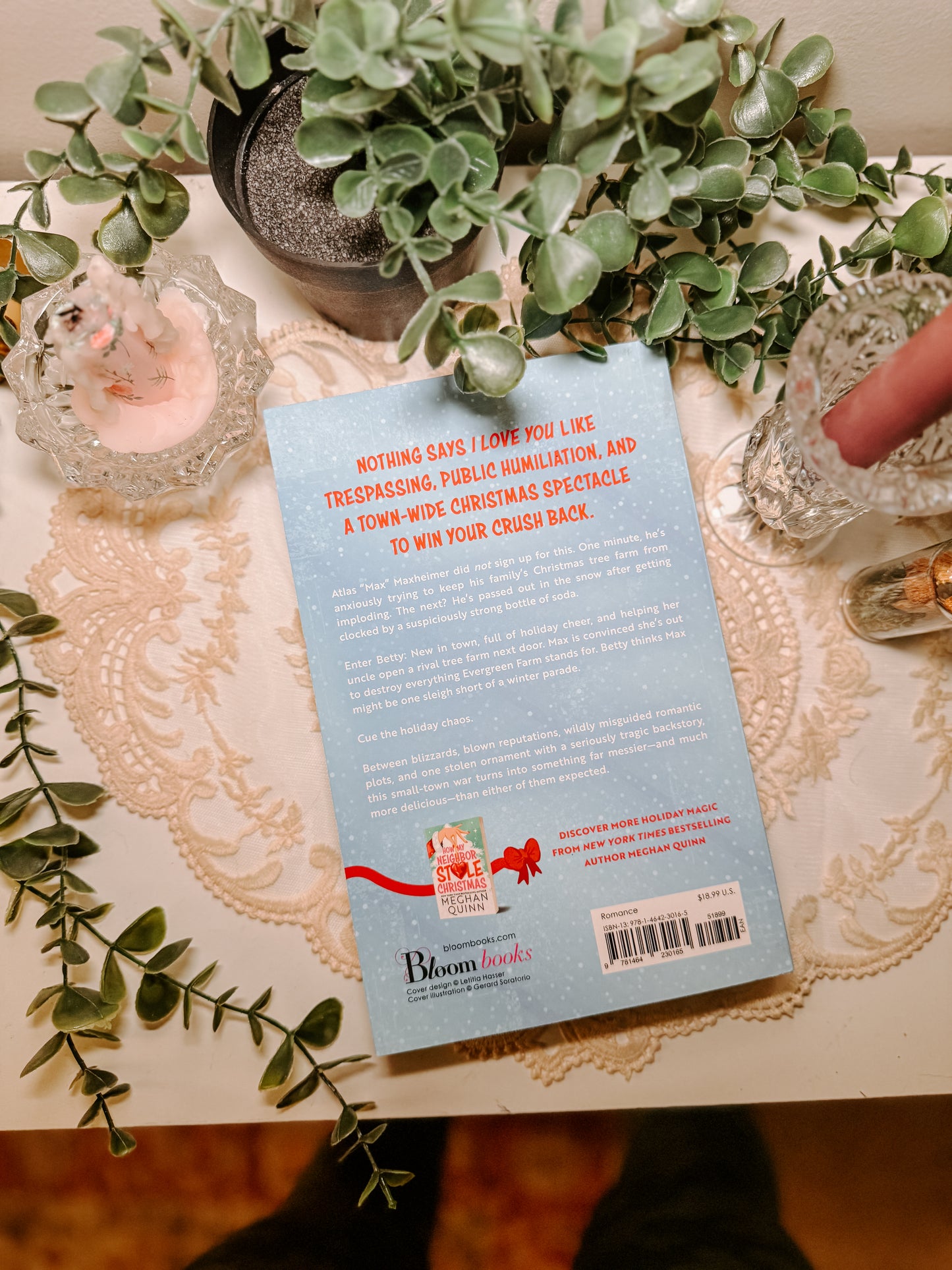 Merry Christmas, You Filthy Animal (Deluxe Edition) By: Meghan Quinn