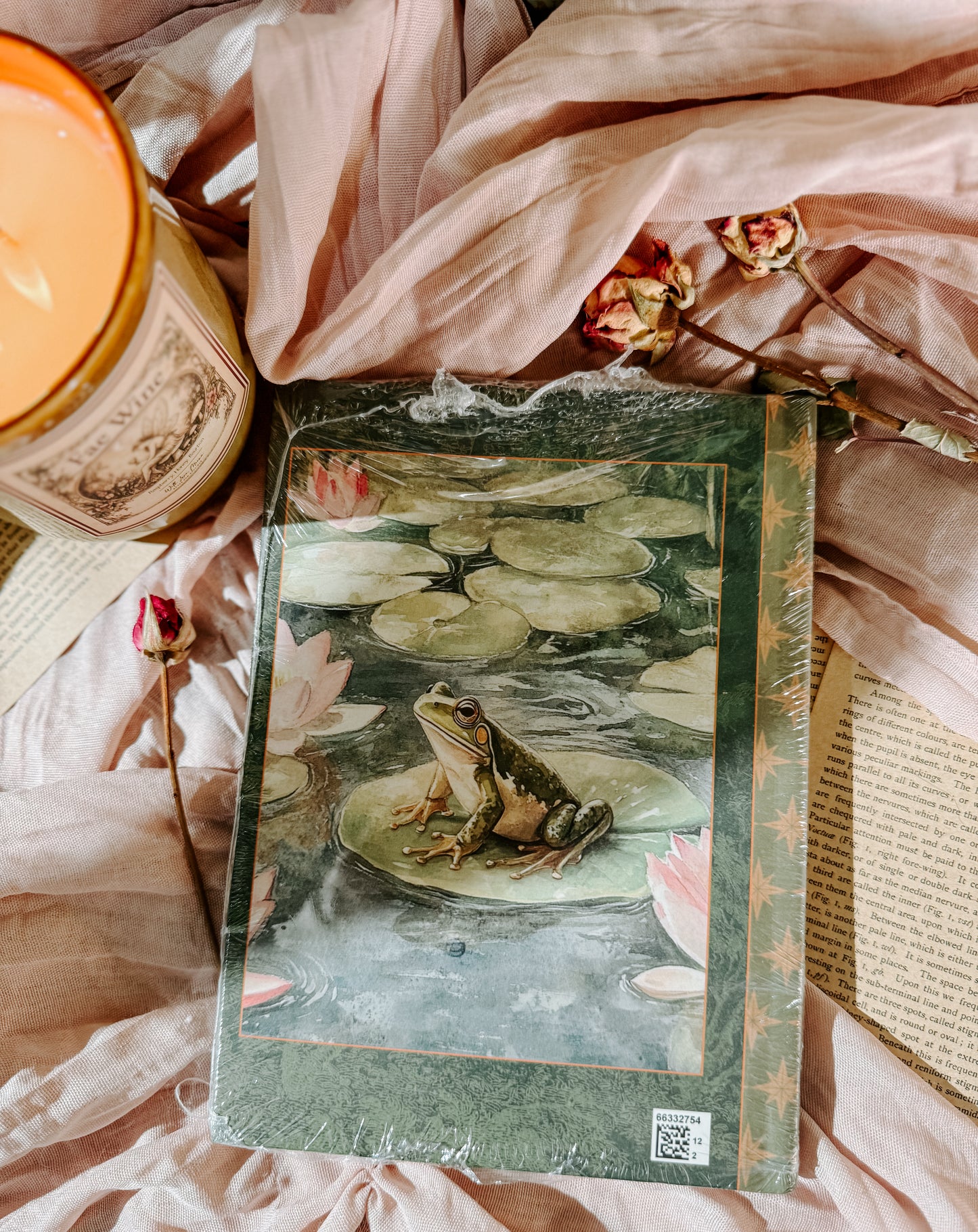 Once Upon a Thought Frog Pond Journal