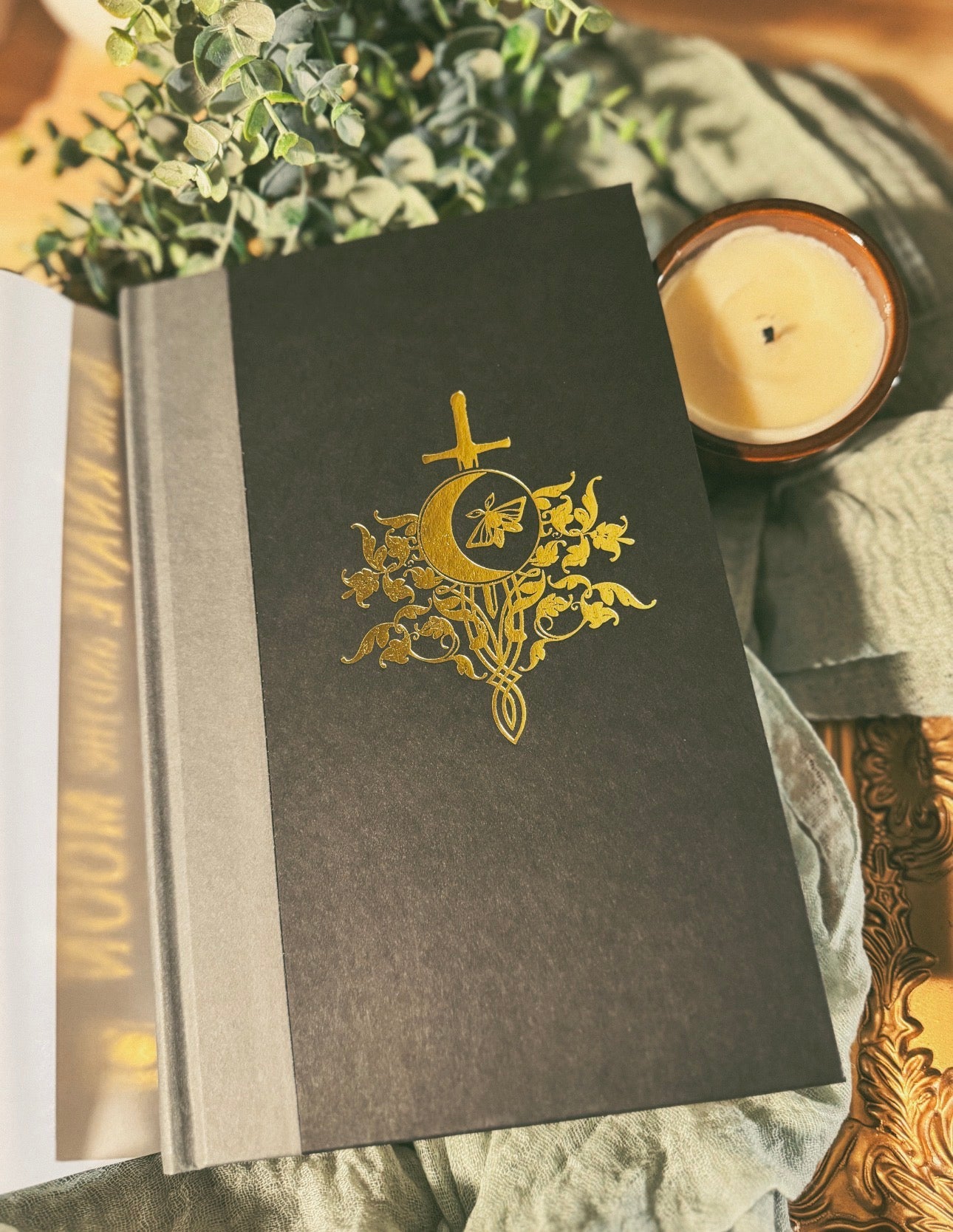 The Knave and the Moon By: Rachel Gillig