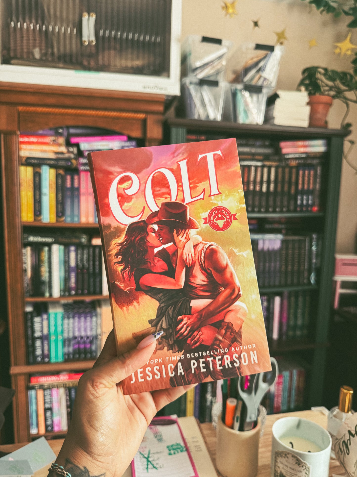 Colt By: Jessica Peterson