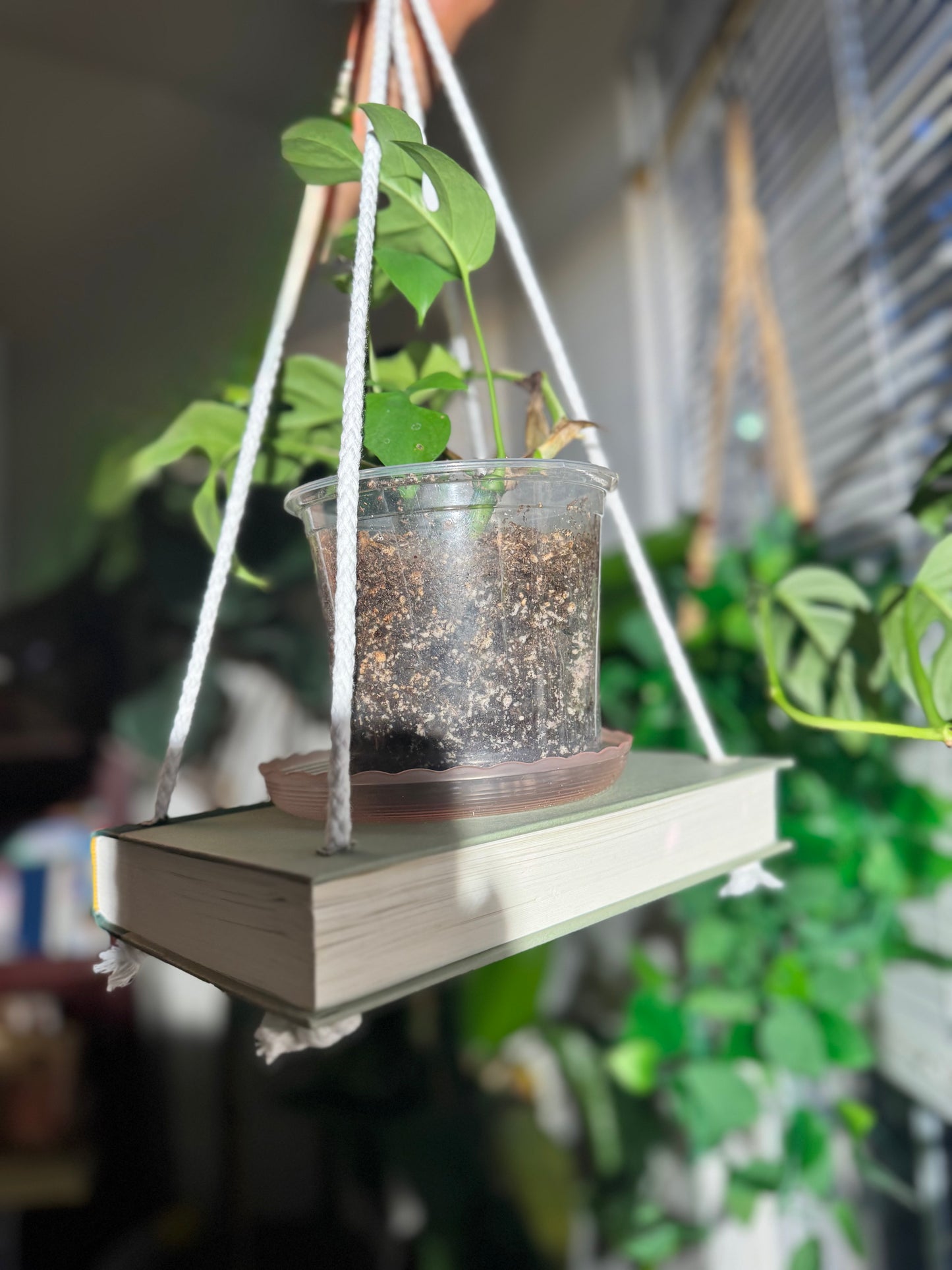 Bookish Bloom Hanging Book Shelf