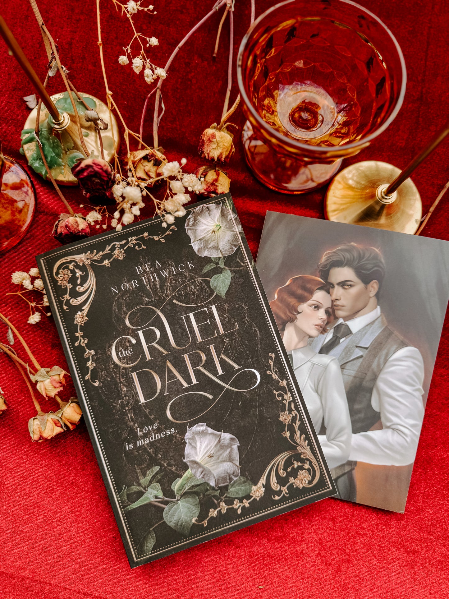 The Cruel Dark SIGNED by: Bea Northwick