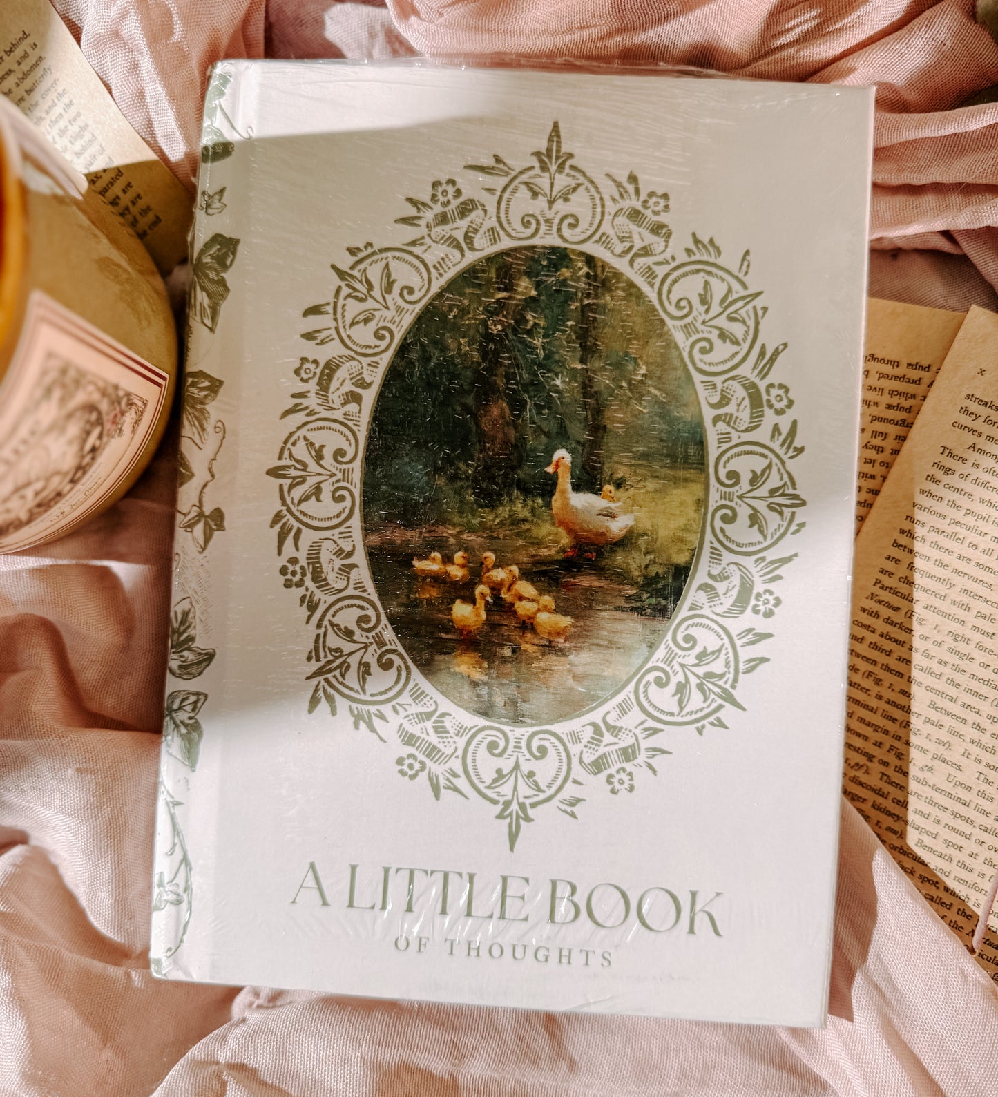 A Little Book of Thoughts Duckling Journal