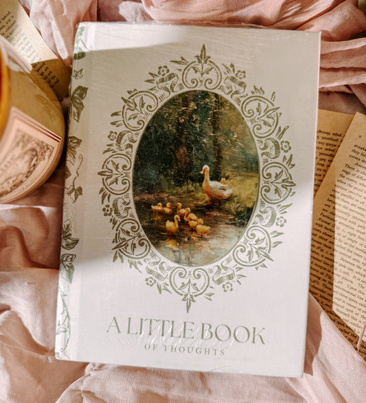 Journal titled 'A Little Book of Thoughts' with decorative cover featuring ducks, placed on a soft pink fabric background.