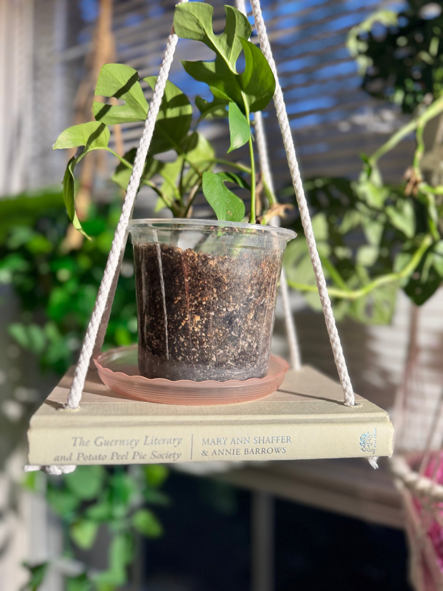 Bookish Bloom Hanging Book Shelf