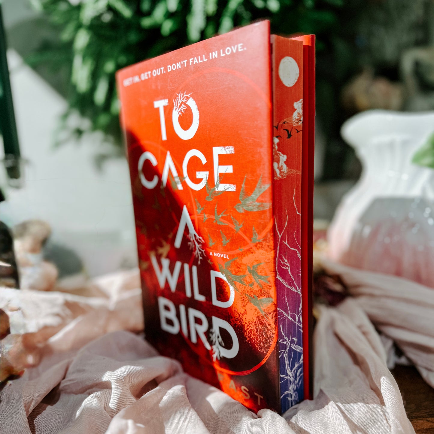 To Cage A Wild Bird By: Brooke Fast
