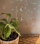 Golden Hour Sun Plant Stake