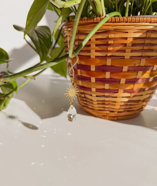 Sunbeam Plant Charm