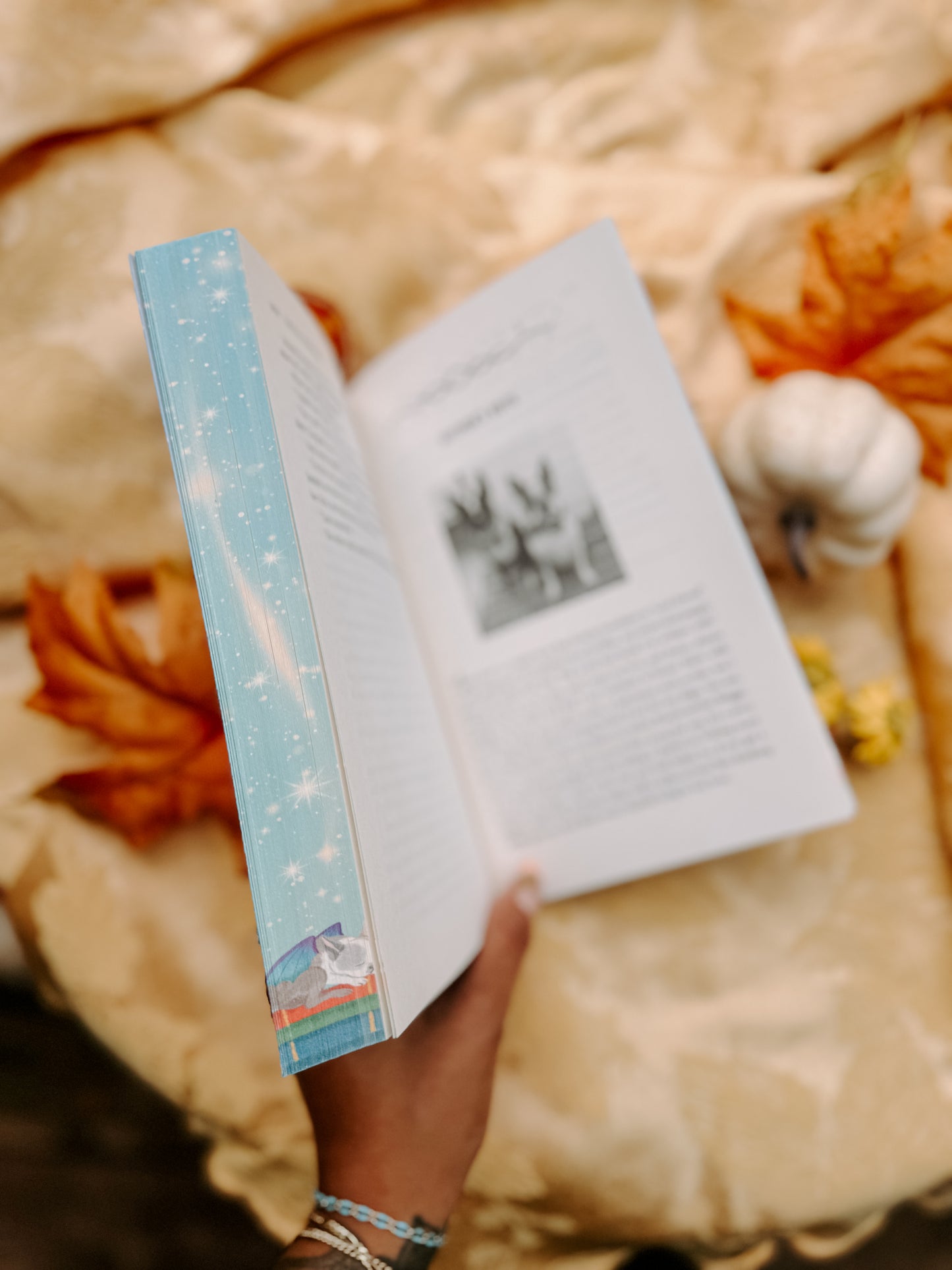 Love's a Witch: A Cozy Fantasy Romance  by Tricia O'Malley