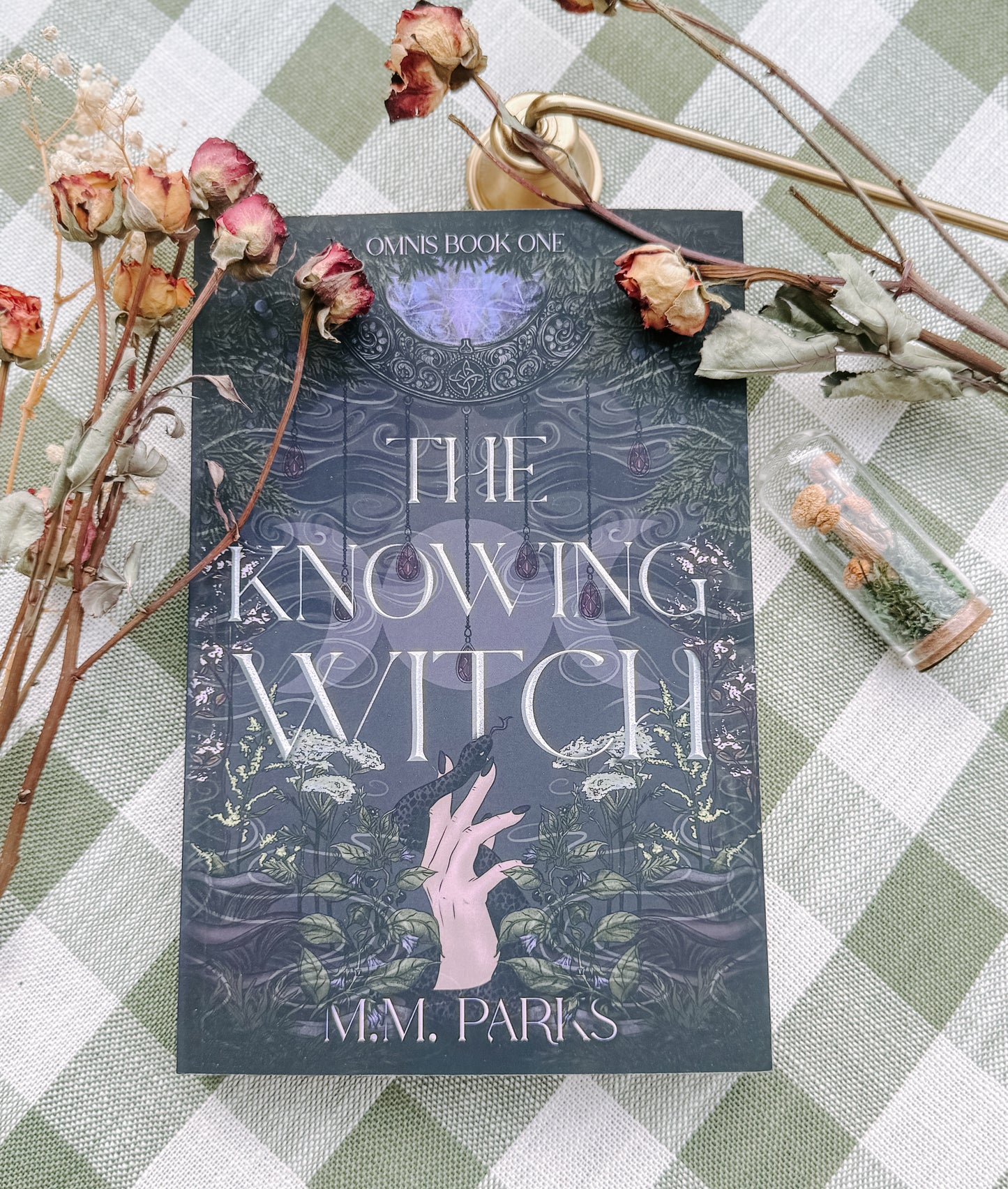The Knowing Witch by M M Parks