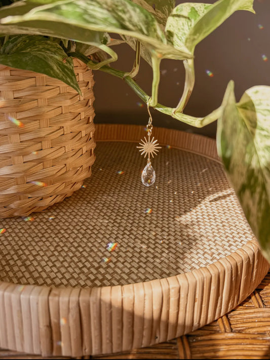 Sunbeam Plant Charm