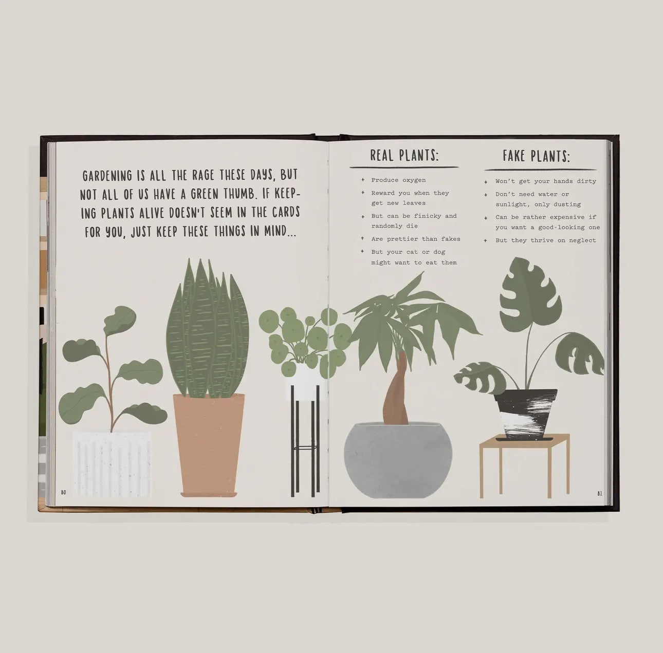 The Happy Homebody: A Field Guide To the Great Indoors