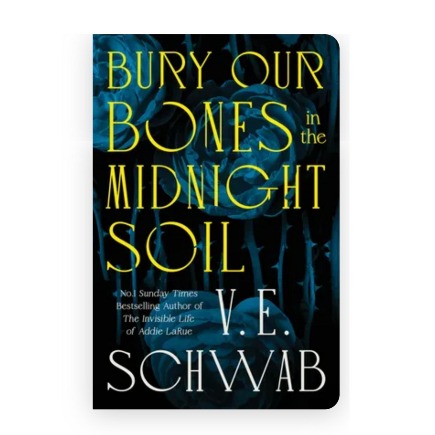 Bury Our Bones in the Midnight Soil by V.E. Schwab