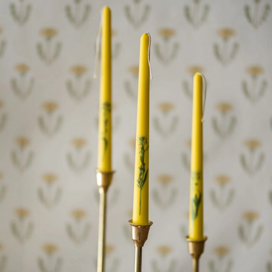 Pressed Wildflower Tapers – Goldenrod (Set of 3)