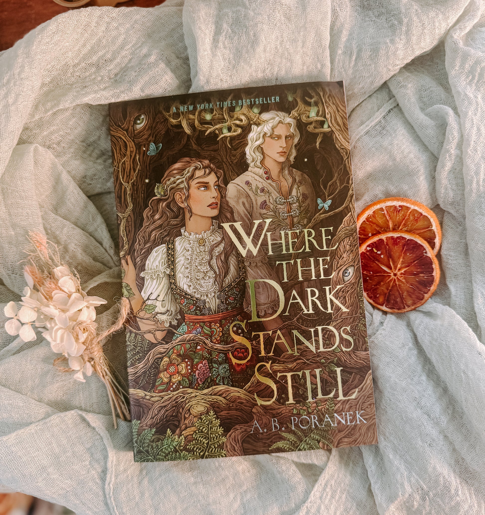 Book titled 'Where the Dark Stands Still' by A.B. Poranek on a soft fabric background with dried oranges and flowers.