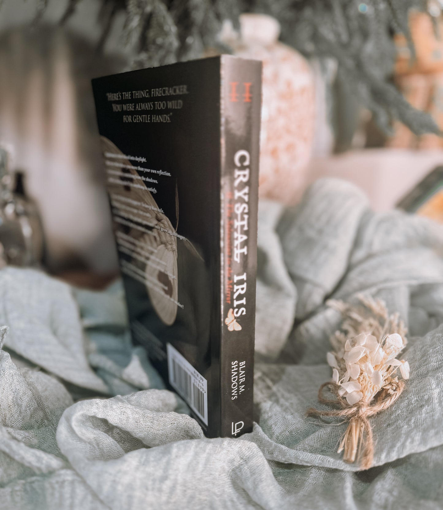 Crystal Iris and The Solenscint in the Mirror Book 2 SIGNED By: Blair Shadows