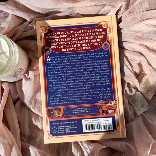 Book titled 'Mystical Cat Shelter' by Agnes Aubert on a soft fabric background with a candle and tea bag.