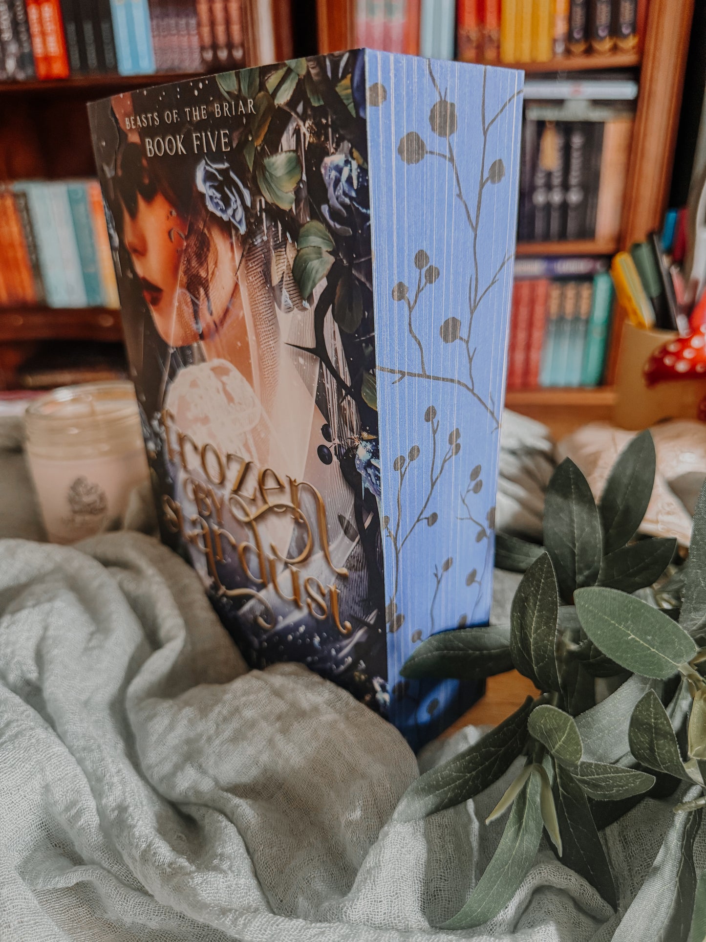 Frozen by Stardust By: Elizabeth Helen