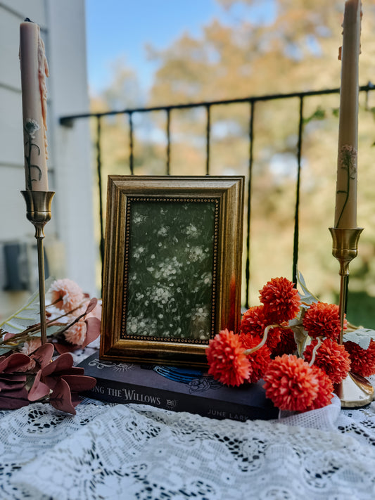 Blossom – 4x6 Framed Fine Art Print