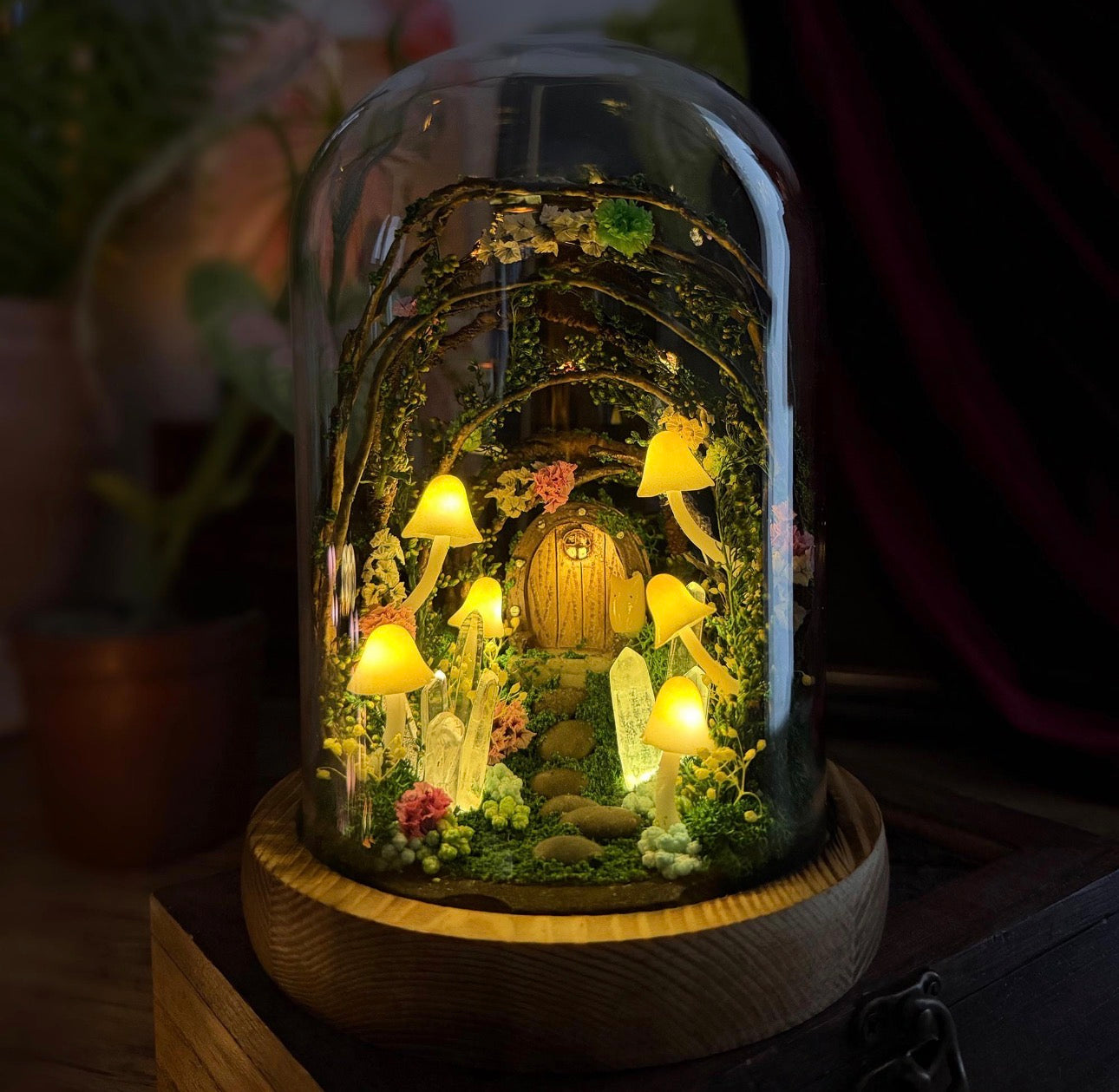 The Hidden Hollow Glow Dome