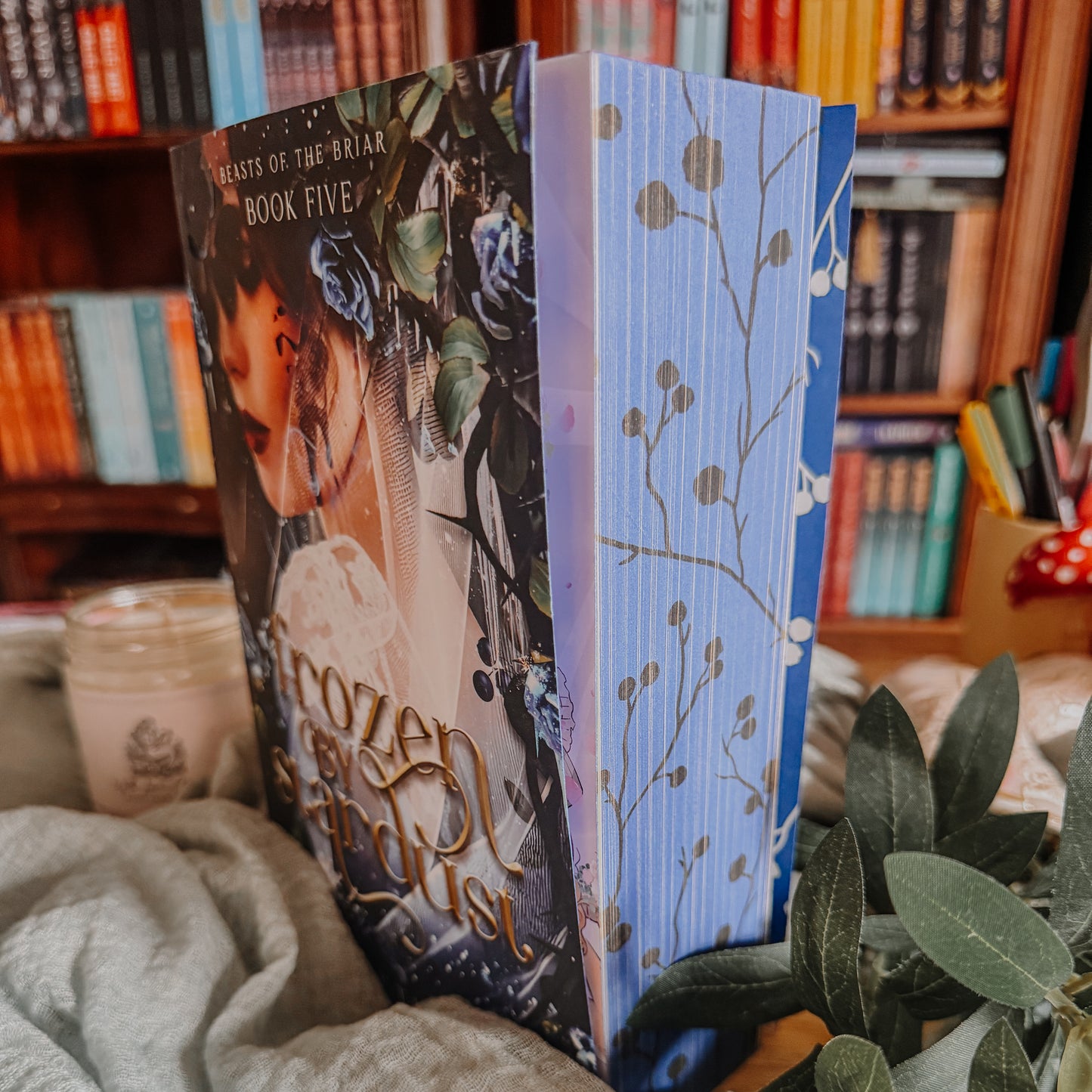 Frozen by Stardust By: Elizabeth Helen