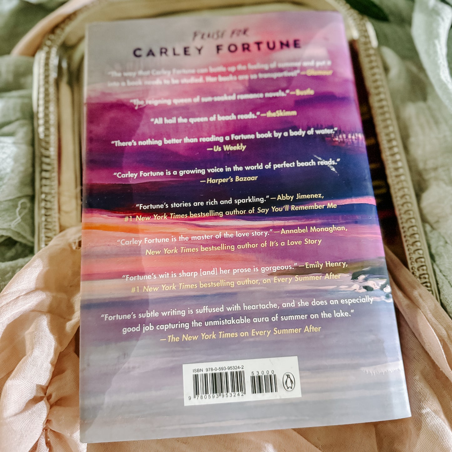 Our Perfect Storm By: Carley Fortune