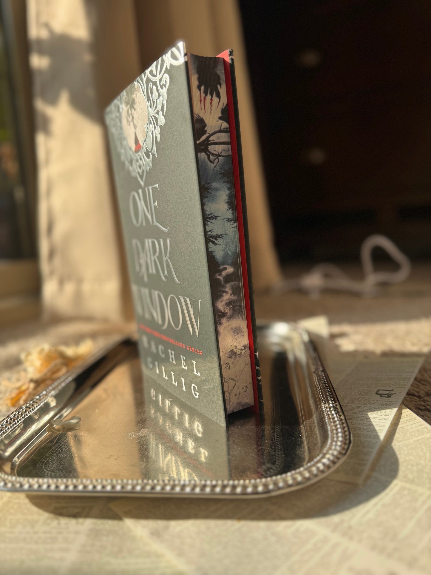 One Dark Window (Deluxe Limited Hardcover Edition)
by Rachel Gillig