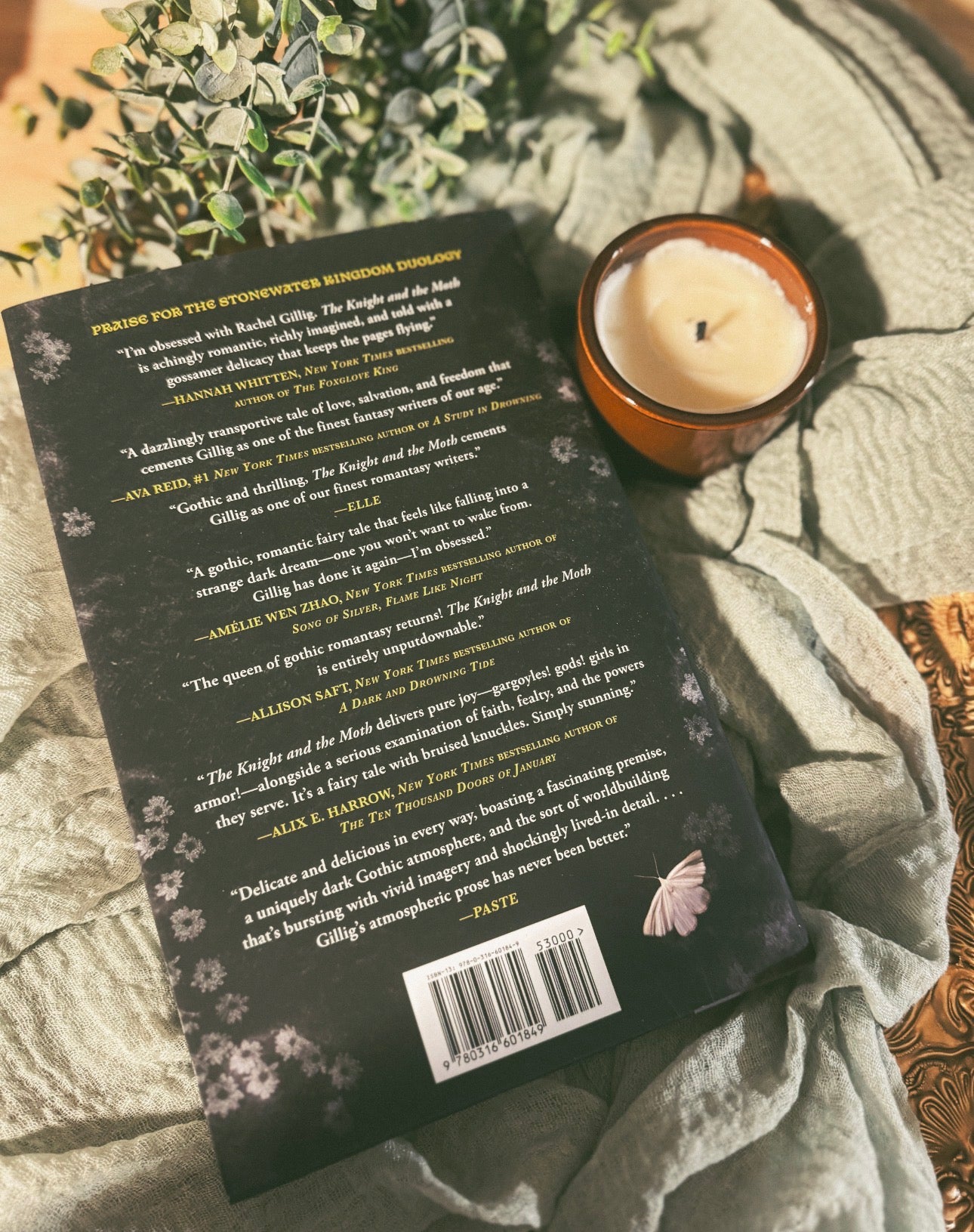 The Knave and the Moon By: Rachel Gillig